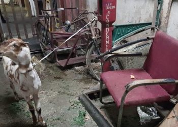 ಒಂದು ಮೇಕೆಯಿಂದ 10 ಪಟ್ಟು ಲಾಭ ಗಳಿಸಿದ ರೈಲ್ವೆ ಇಲಾಖೆ…!