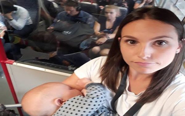 train feed