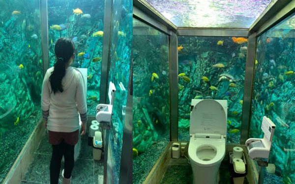somethings fishy this toilet in japan is surrounded by an aquarium on three sides watch