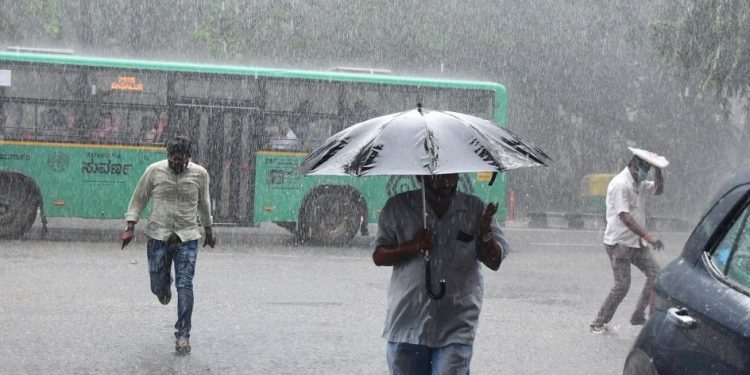 in bangalore 2