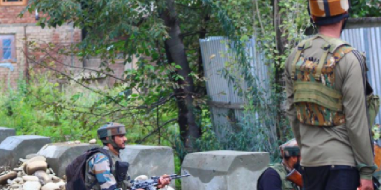 kashmir