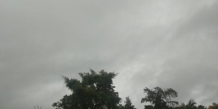 rain 01