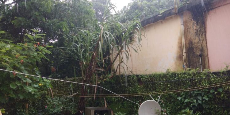 rain 03