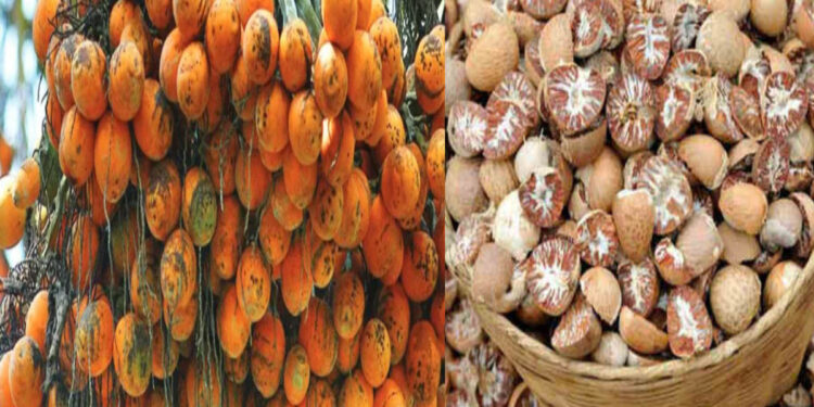 areca nut