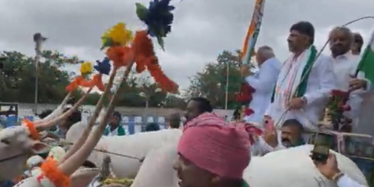 dkc bullock carts