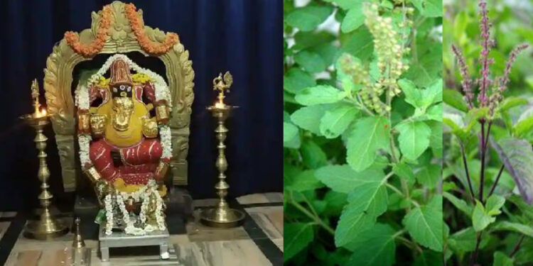ganesh tulasi