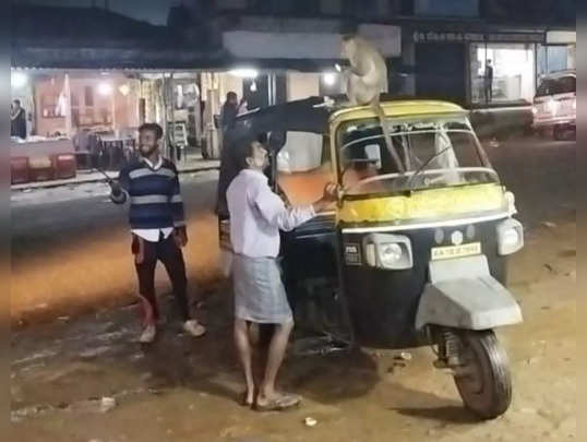 monkey attack2
