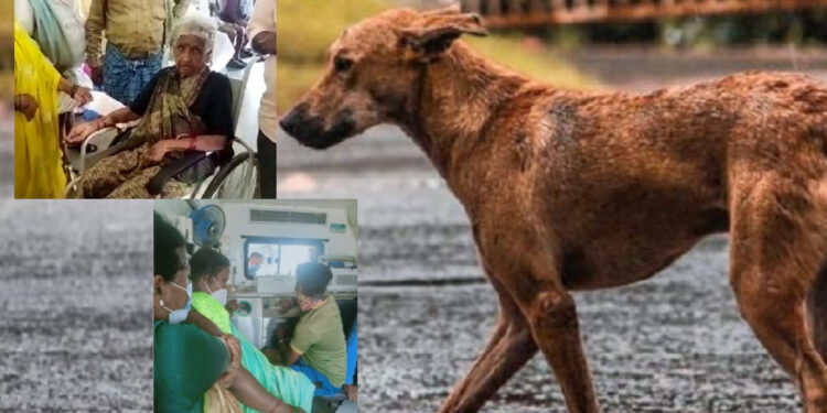 mandya dog attack