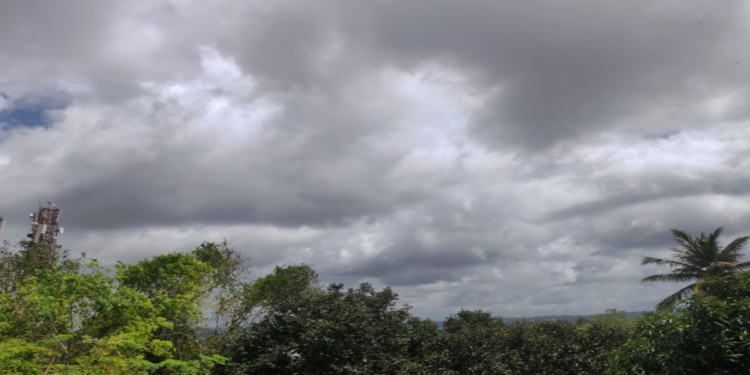 a-day-after-torrential-rains-heart-wrenching-scenes-in-keralas-high-ranges
