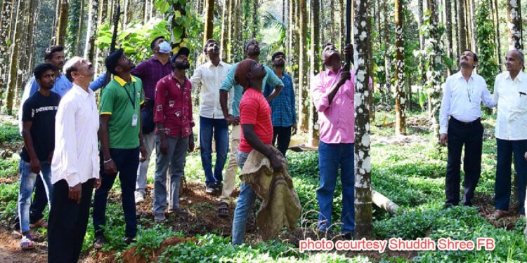 Areca nut and Coconut Harvesting Pole traning tss sirasi