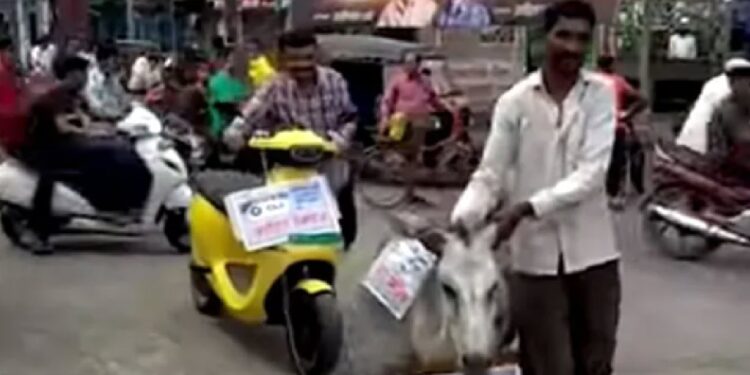 ola scooter