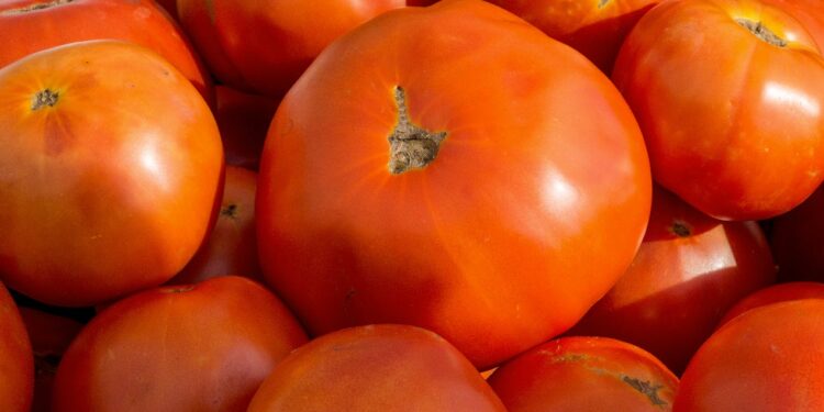 tomatow