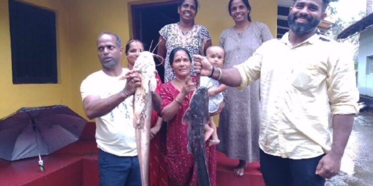 fish udupi