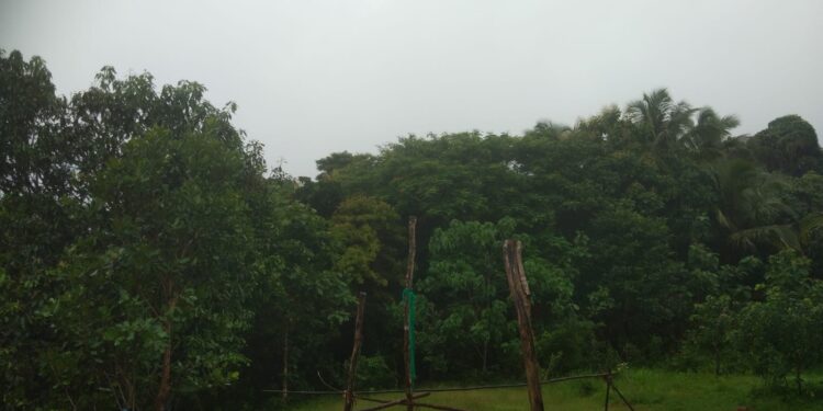 karnataka-rain-bangalore-rains-heavy-rainfall-in-malnad-till-june-30-coastal-districts-under-orange-alert