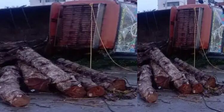 bangalore-accident-logs-overturned-after-the-driver-lost-control-a-biker-died