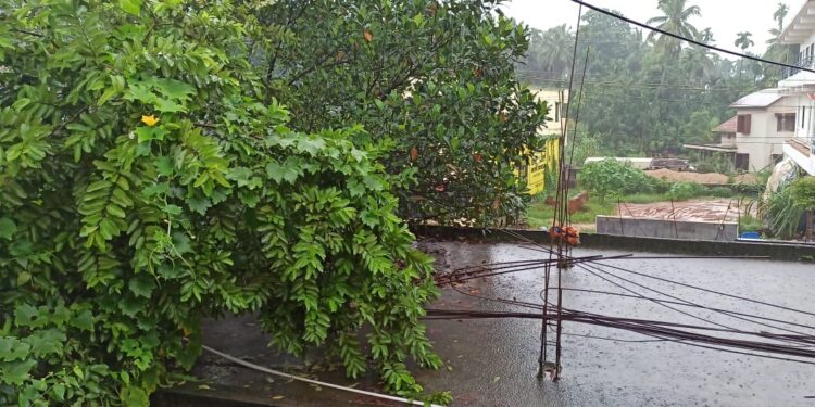 heavy-rain-in-dakshina-kannada-holiday-announcement-for-schools-and-college