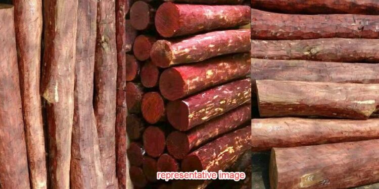red sandl