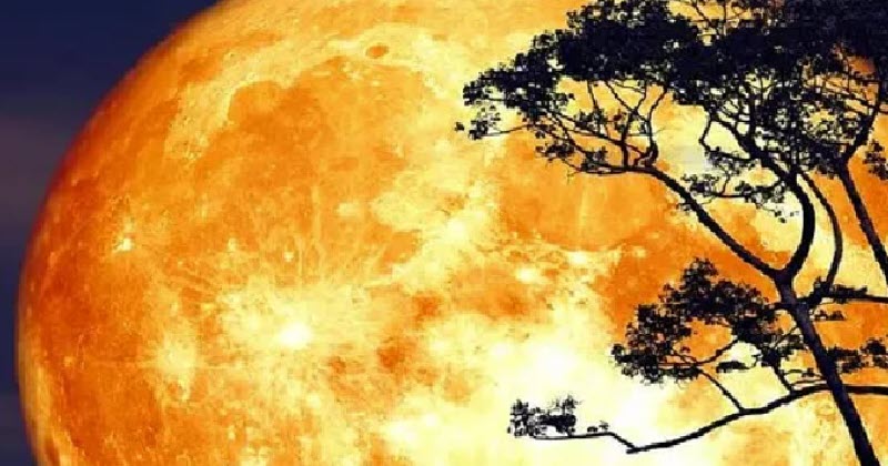 super-buck-moon-2022-all-you-need-to-know-about-the-biggest-supermoon-of-2022