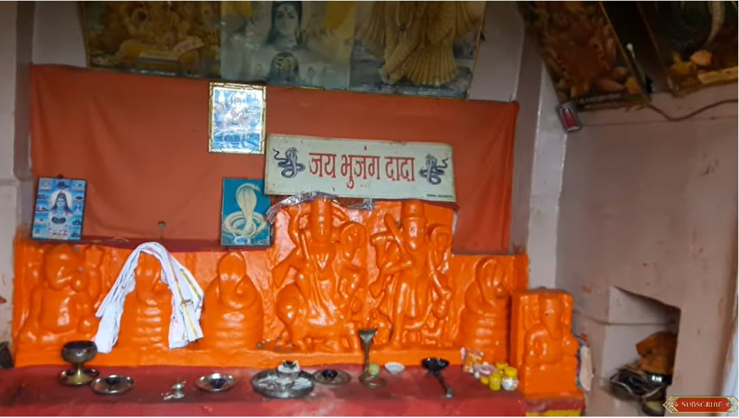 bhujanag