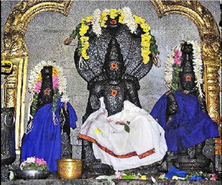 naganath swami1