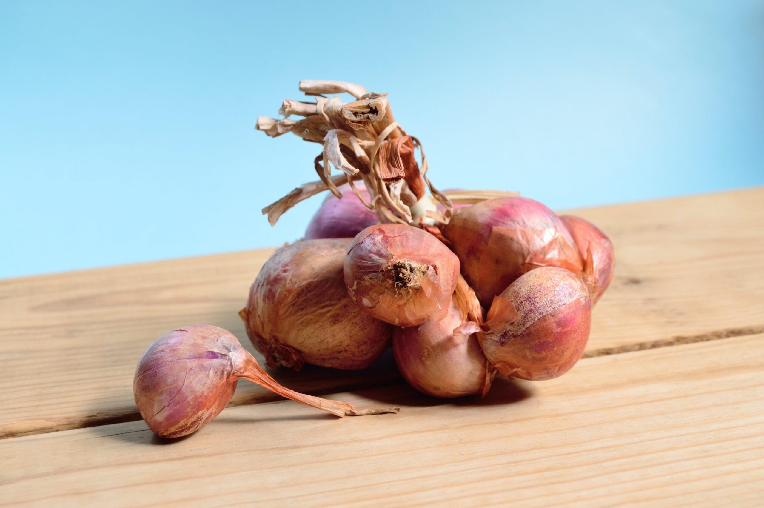 Onions bring tears Onion price going the tomato way
