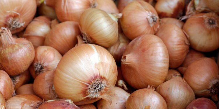onion price hike Onions bring tears