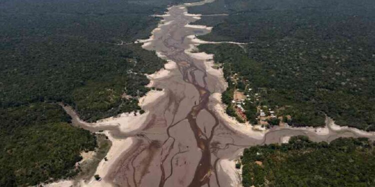 amzon river
