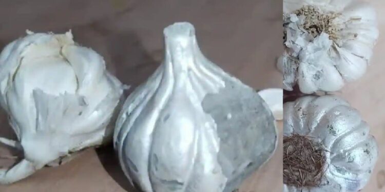 cement garlic