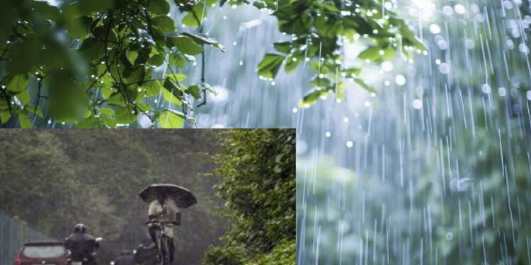 rain